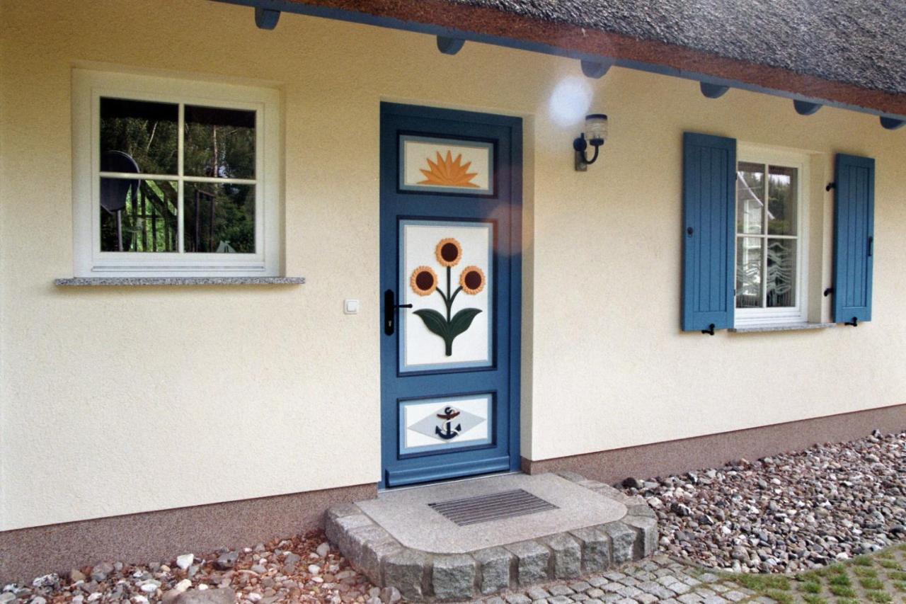 Ferienhaus Mine Sehnsucht Dierhagen Exteriör bild